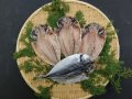 まあじ特大　 1枚